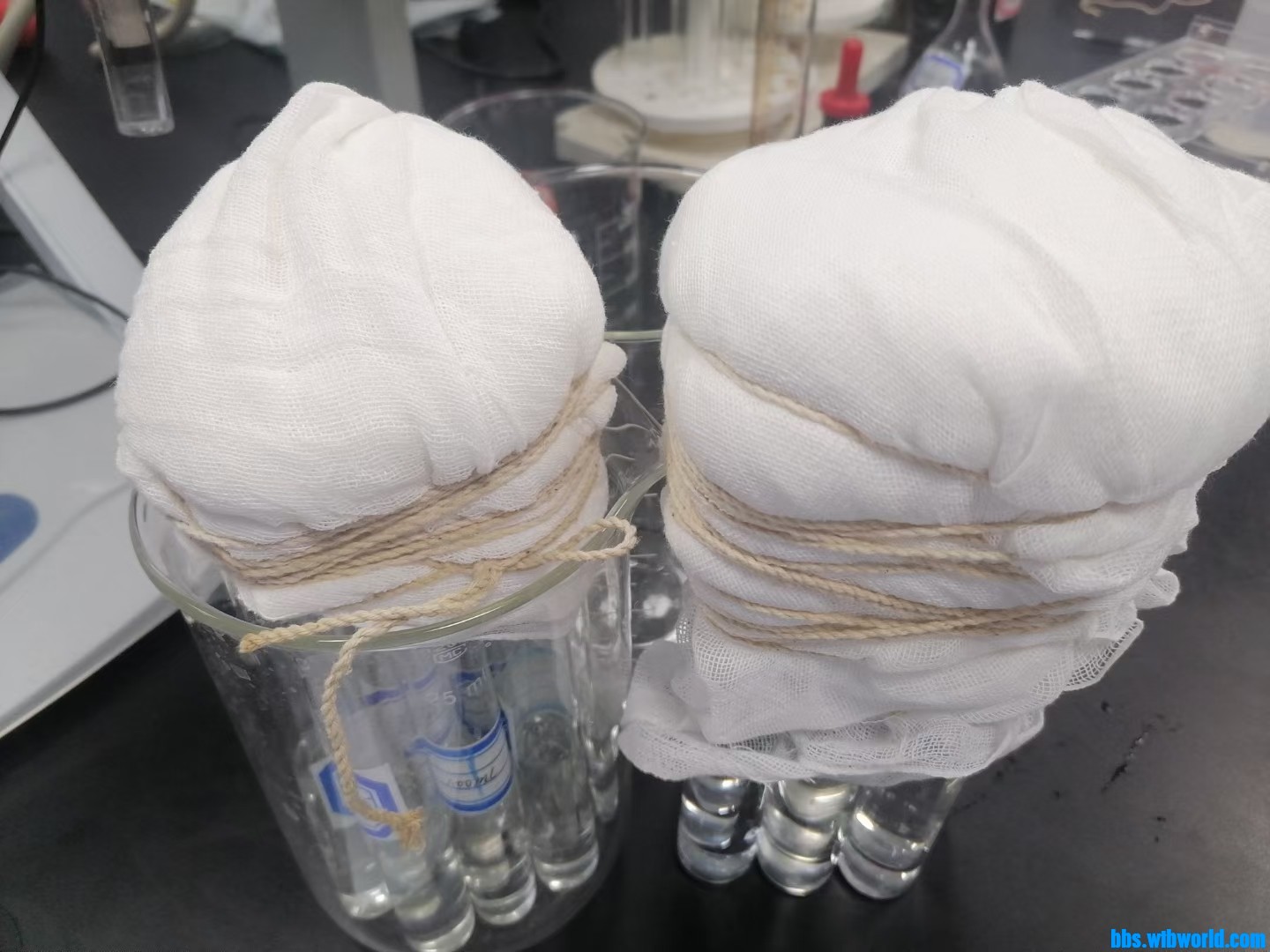 wechat_upload1646998057622b3229635ab