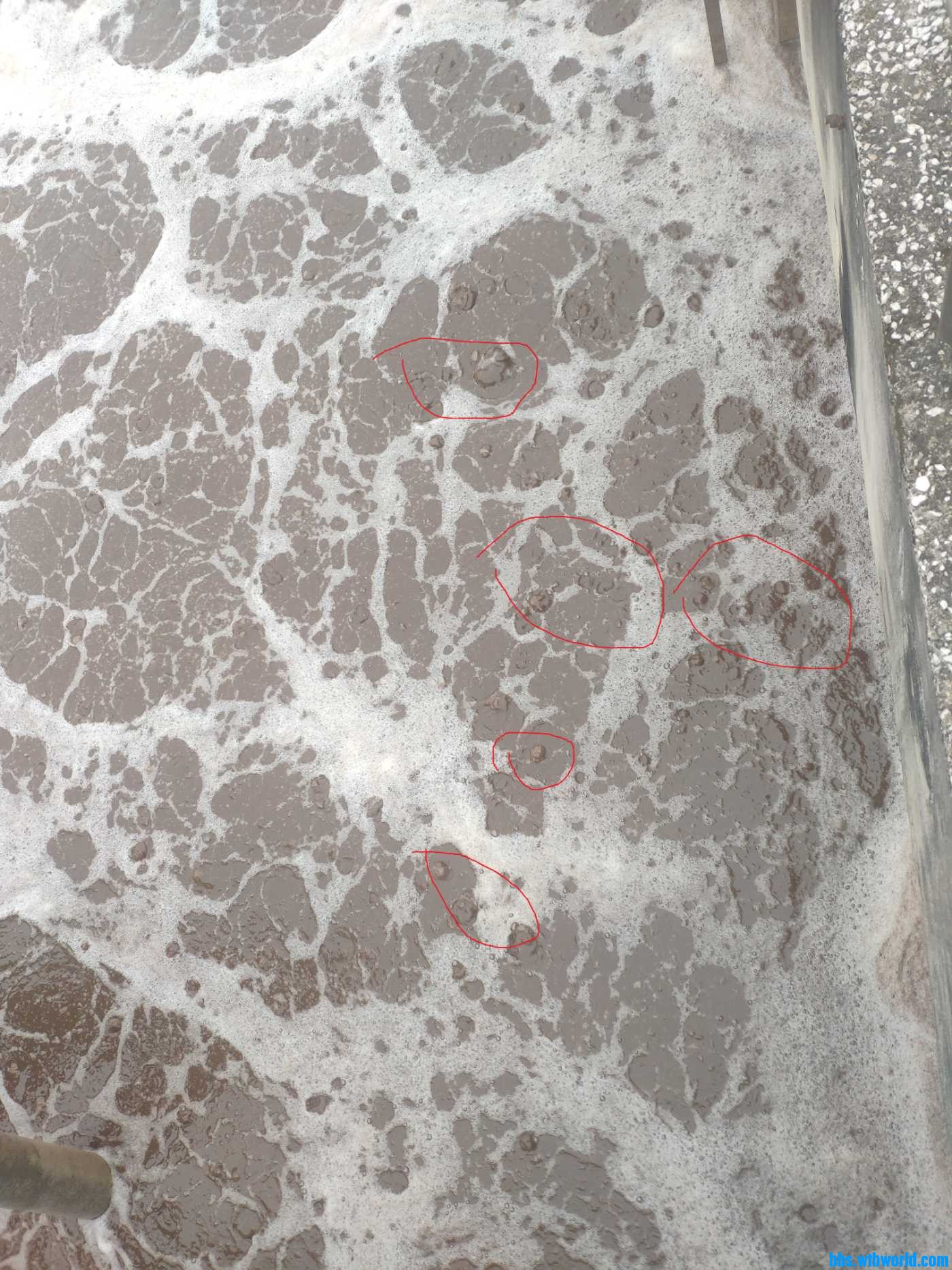 IMG_20220313_141252 - 副本.jpg