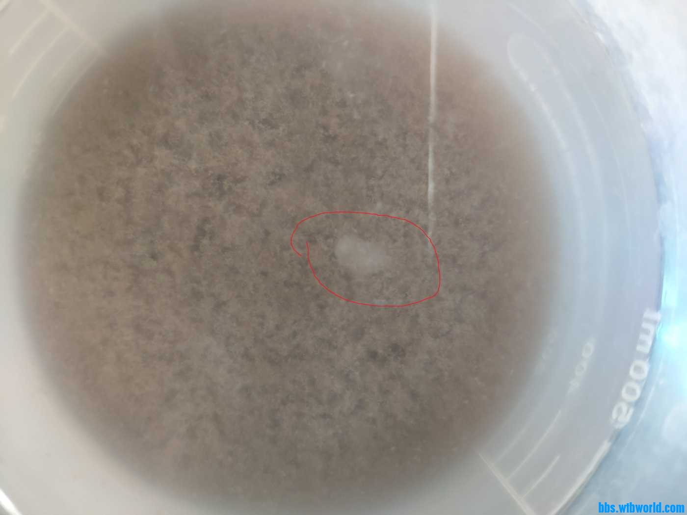 IMG_20220313_155813 - 副本.jpg