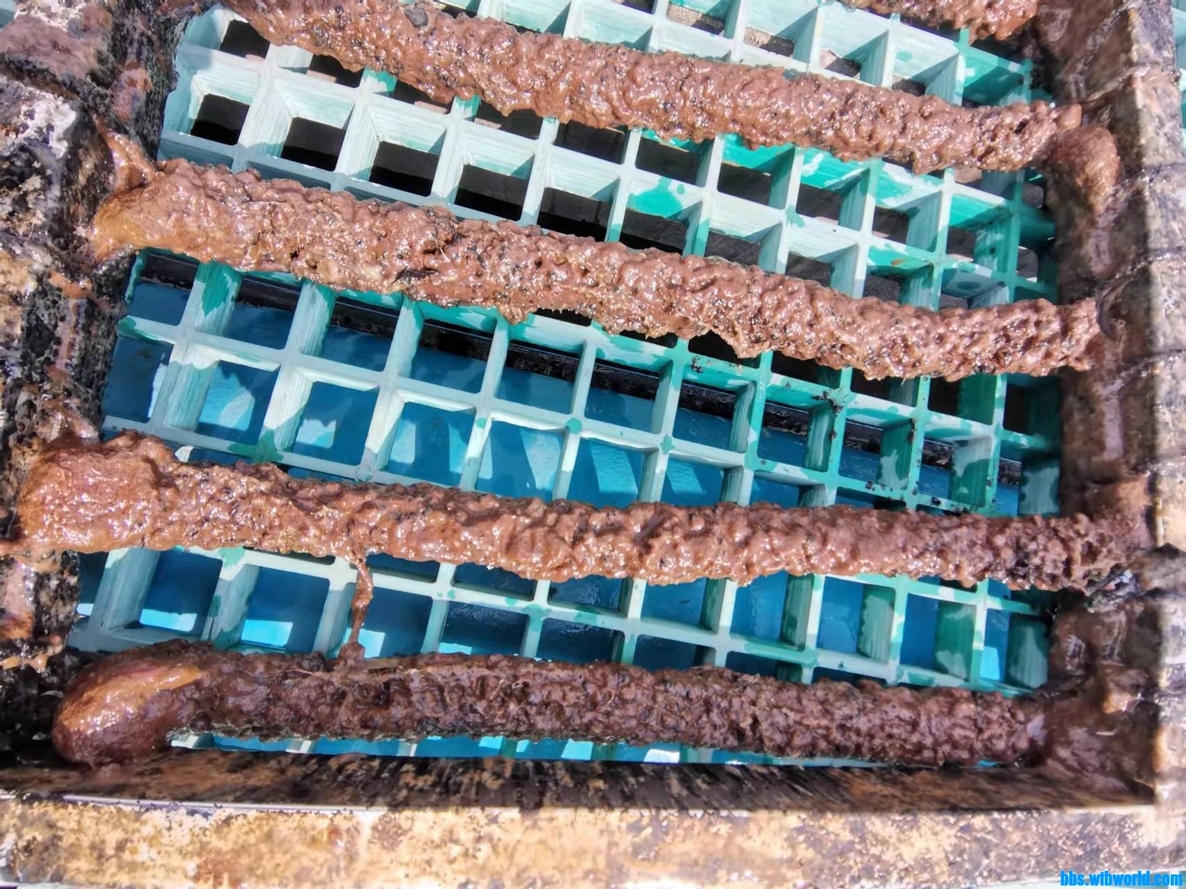 wechat_upload1647175502622de74eb8731