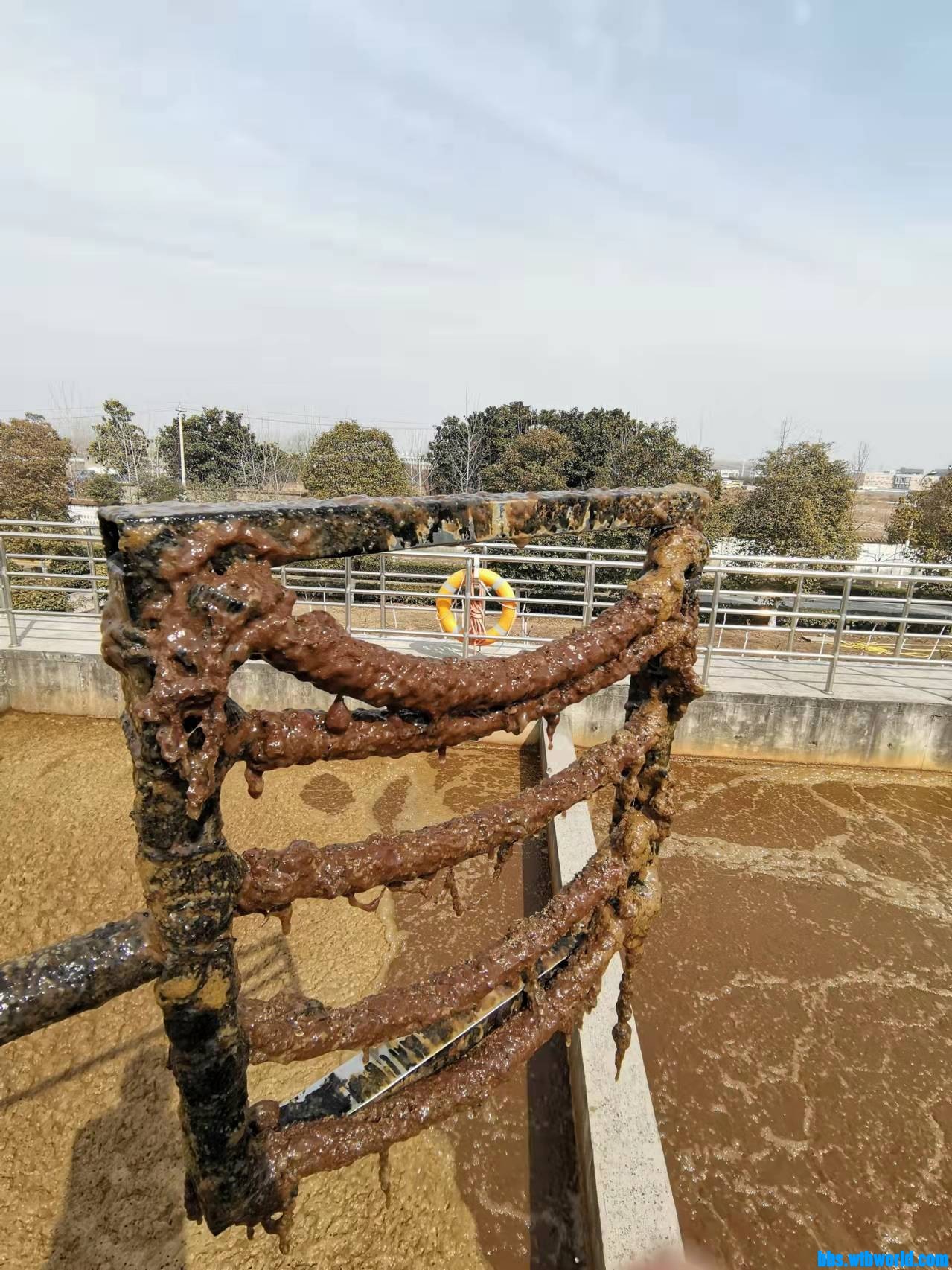 wechat_upload1647175511622de7579c2b7