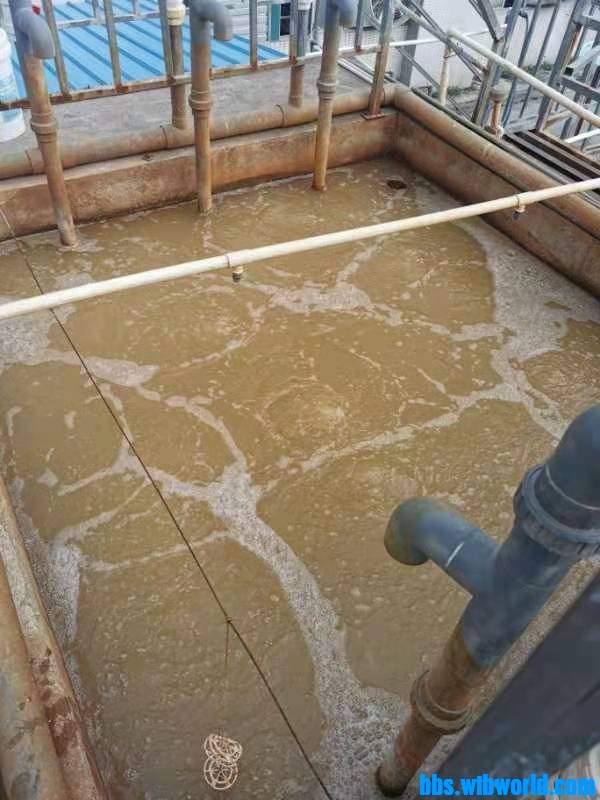 wechat_upload164735277862309bcac6519