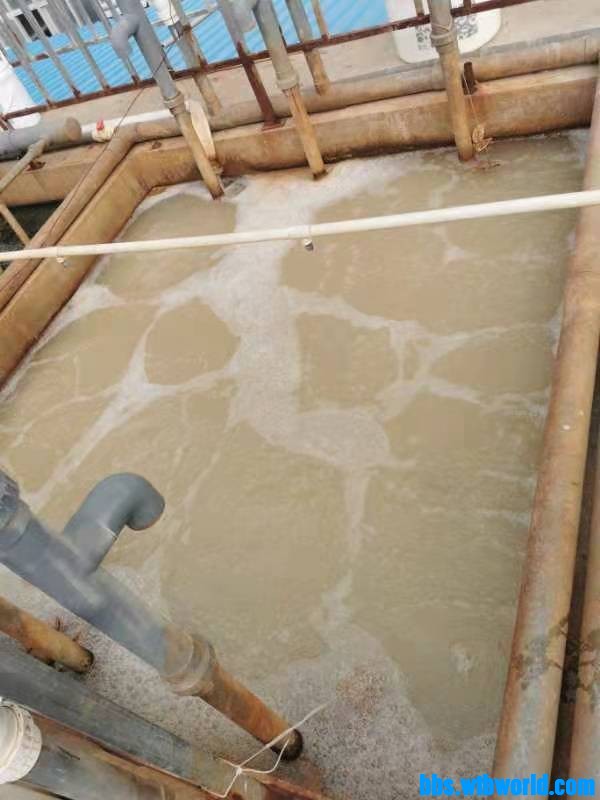 wechat_upload164735277962309bcb3d259