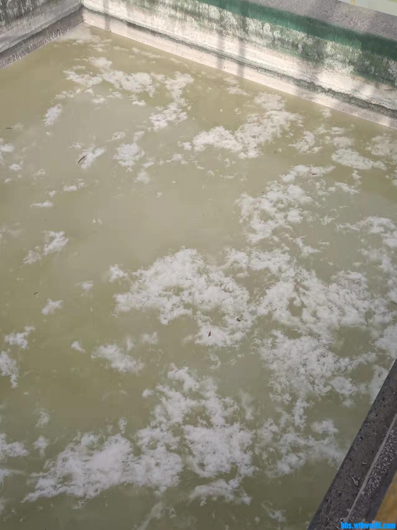 wechat_upload164735338762309e2ba9277