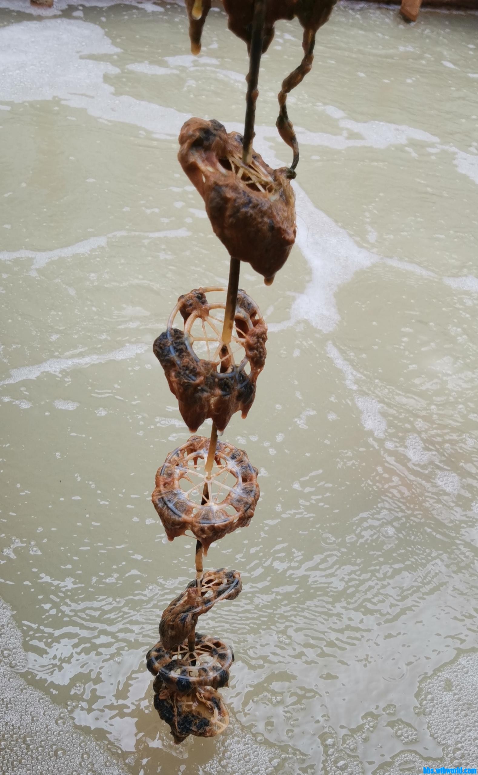 wechat_upload164739469662313f881890c