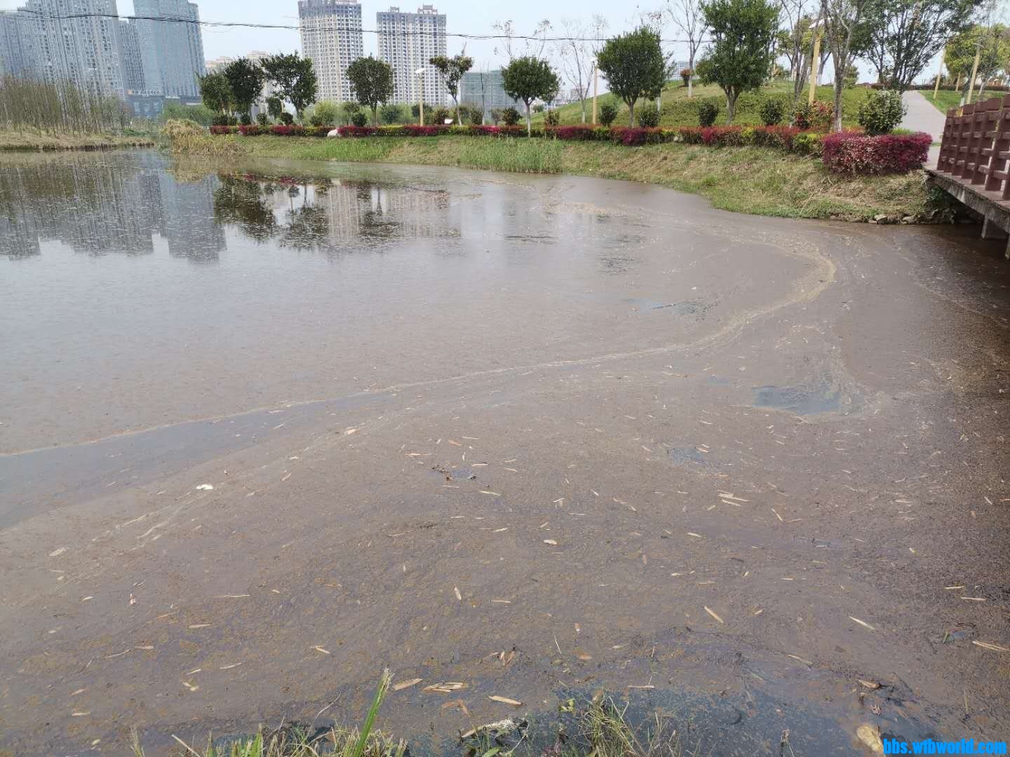 wechat_upload164741440762318c877c1c5