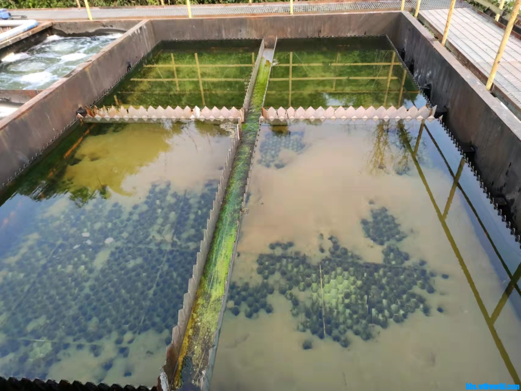 wechat_upload164748240862329628525a0