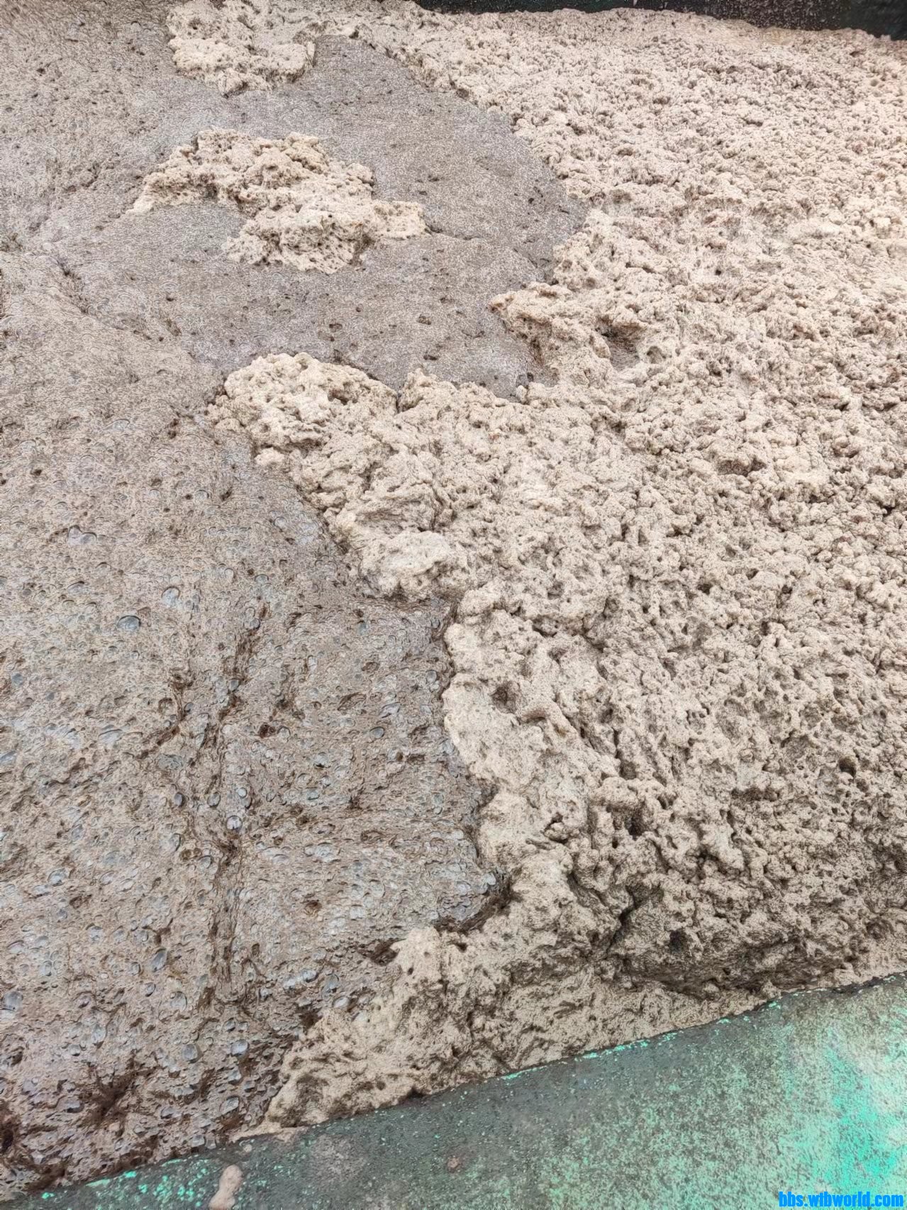 wechat_upload164748475262329f5098d13