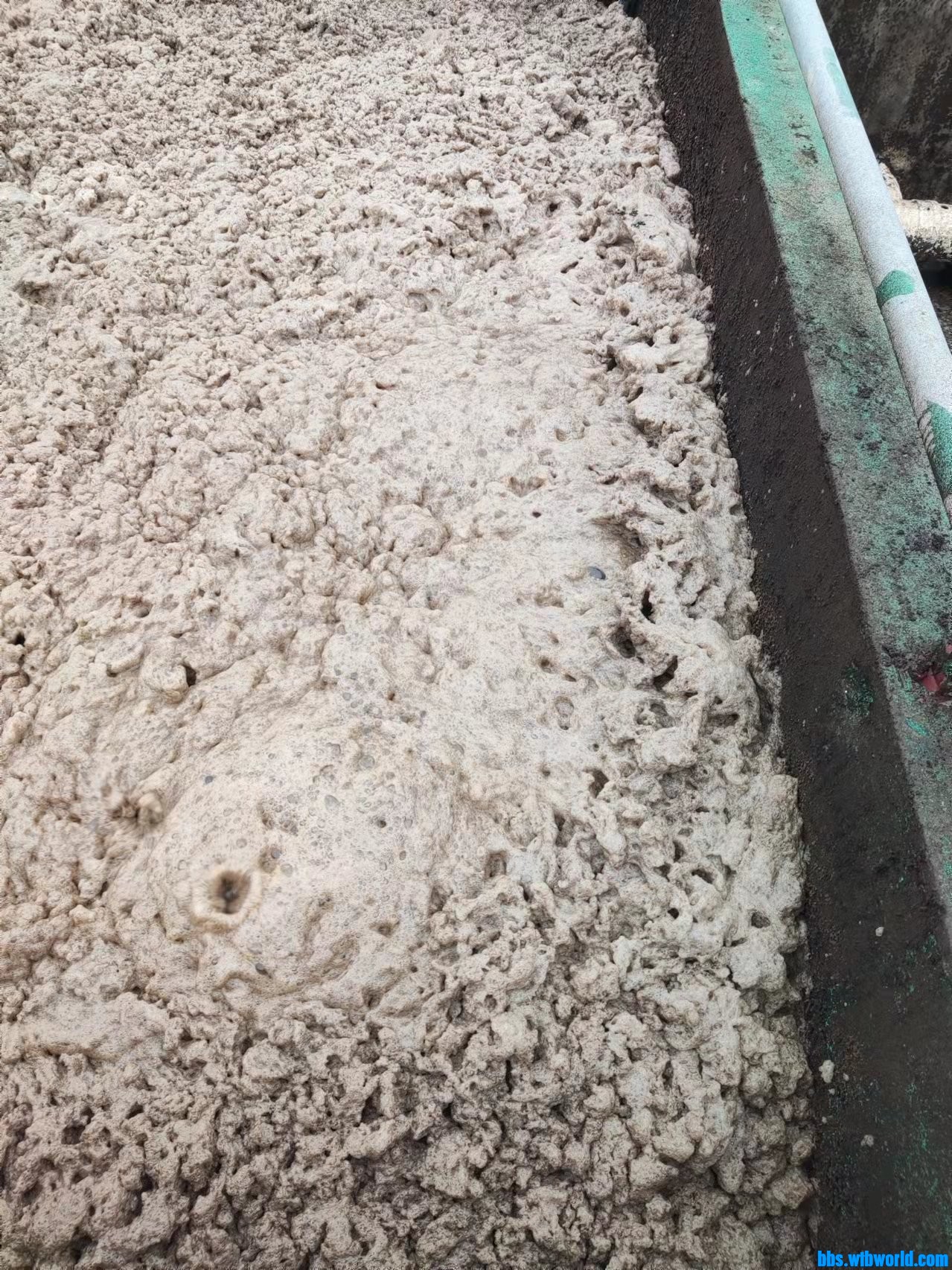 wechat_upload164748475362329f517e9d1