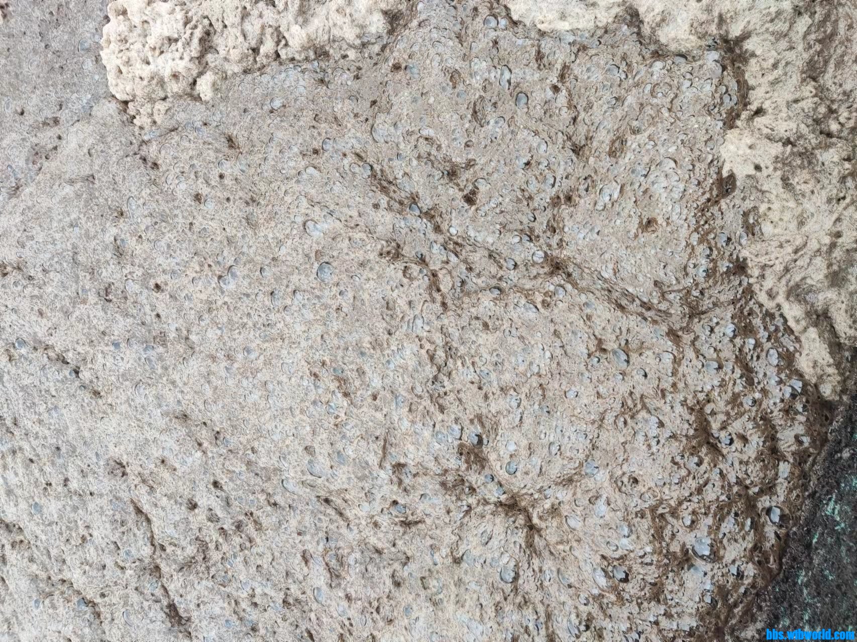 wechat_upload164748475362329f510fc0b