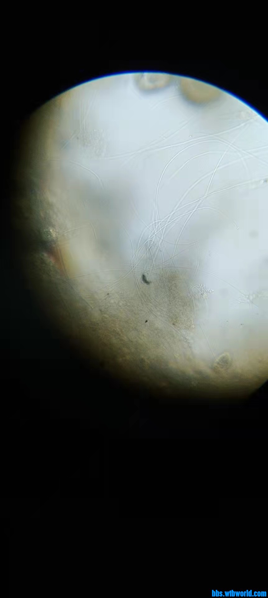 wechat_upload16474946536232c5fded2bc