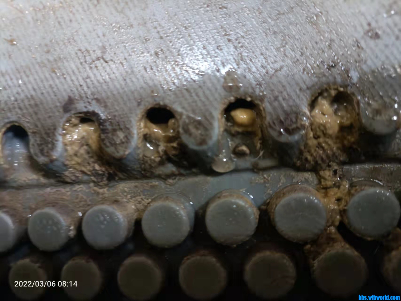 wechat_upload164758275662341e246f7dc