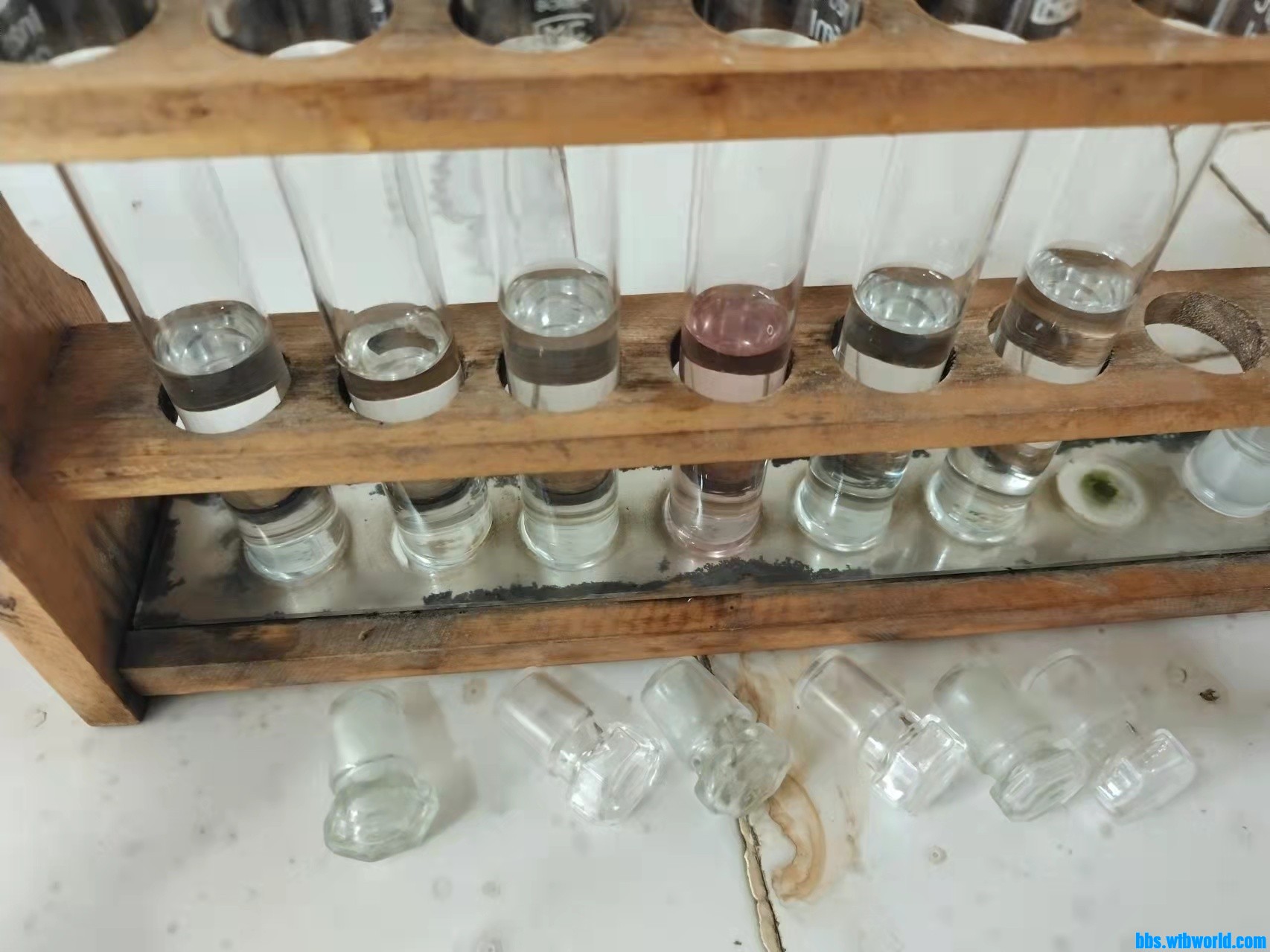 wechat_upload1647583268623420246f084