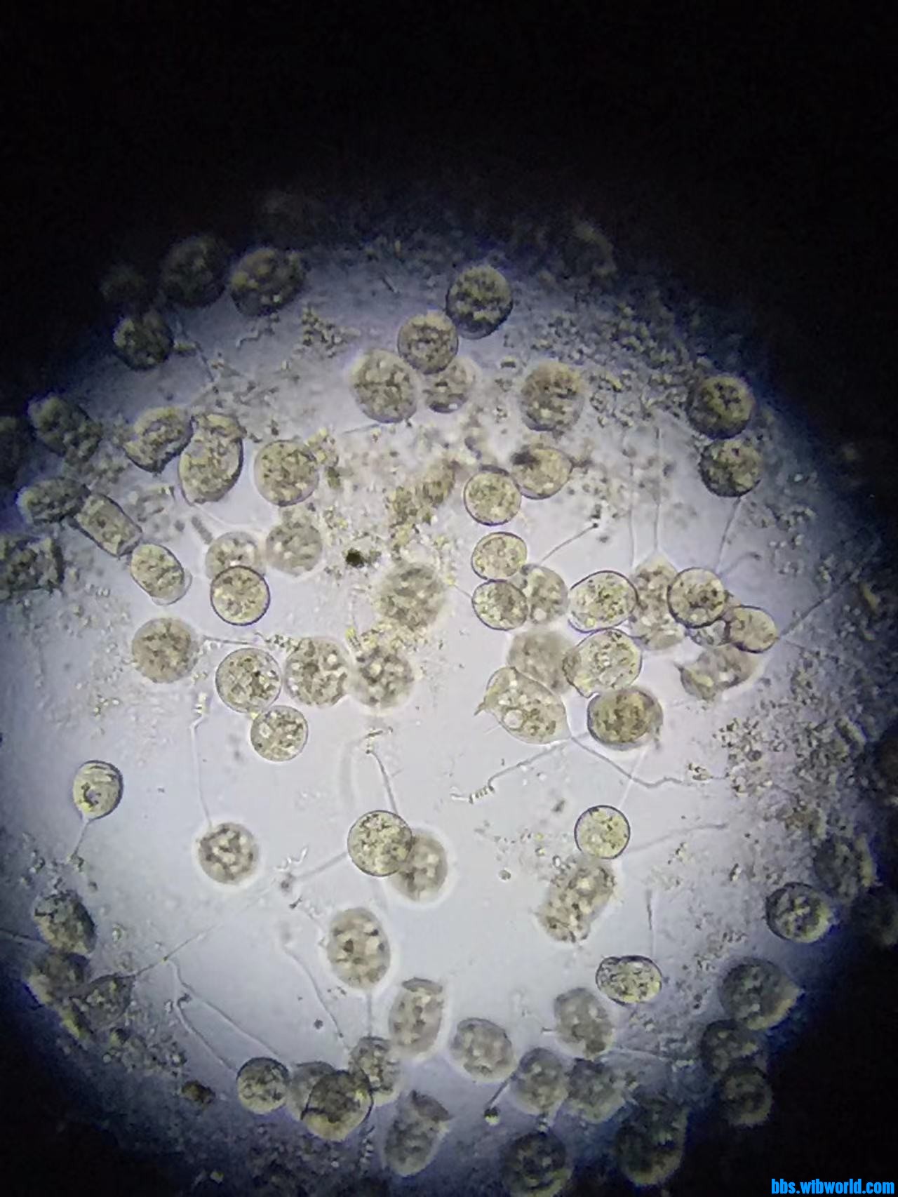 wechat_upload164759939562345f23c27fd