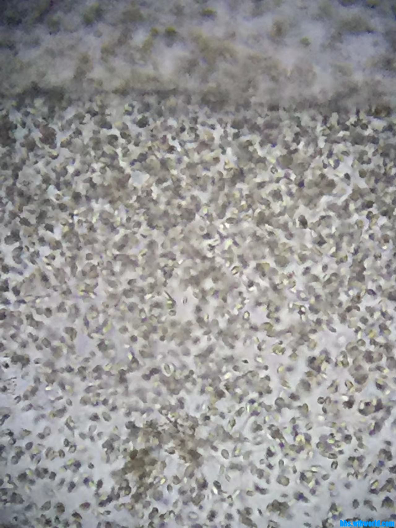 wechat_upload16475997526234608889741