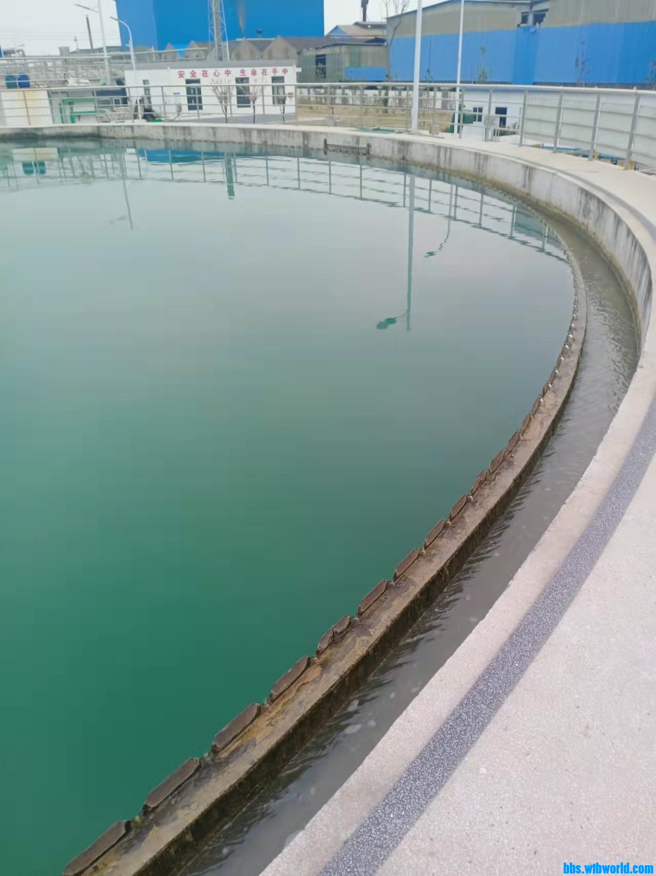 wechat_upload164768063262359c781f85c