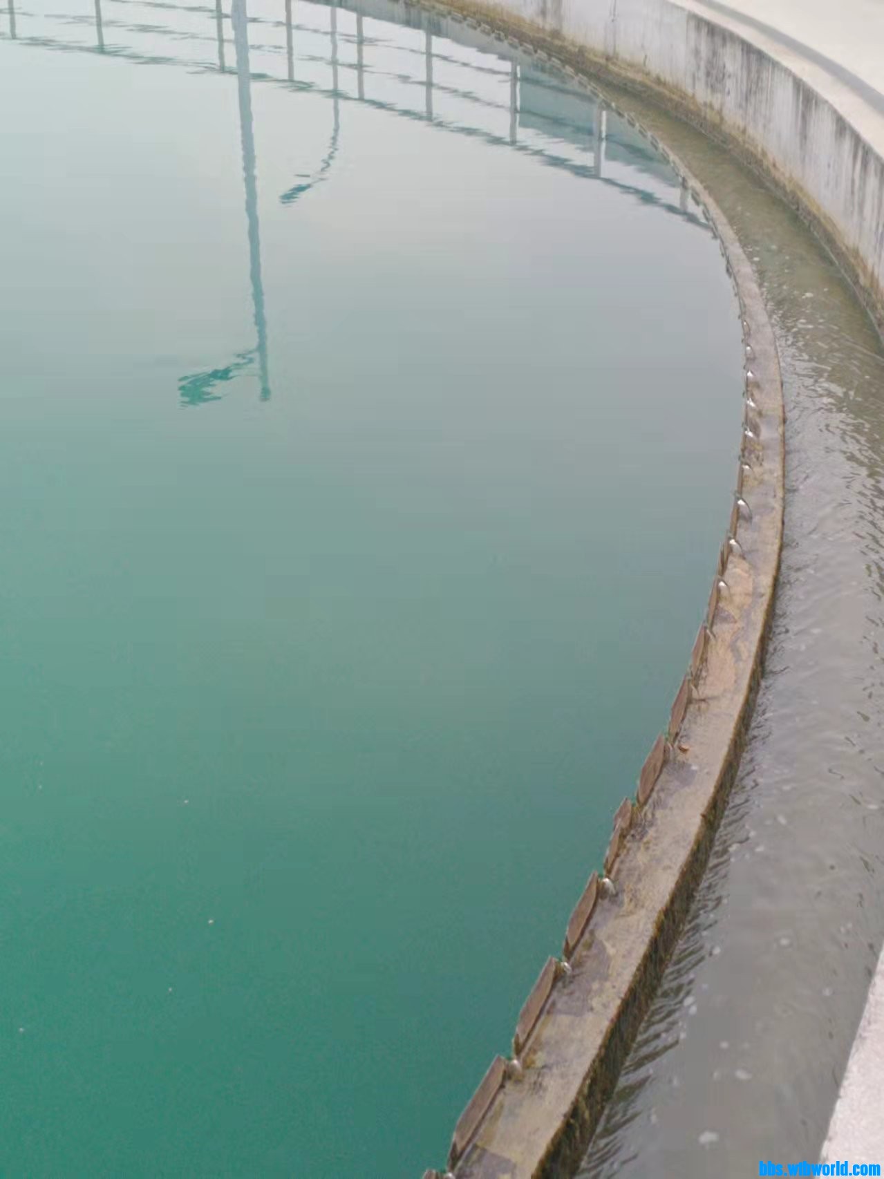 wechat_upload164768063262359c787b5c7