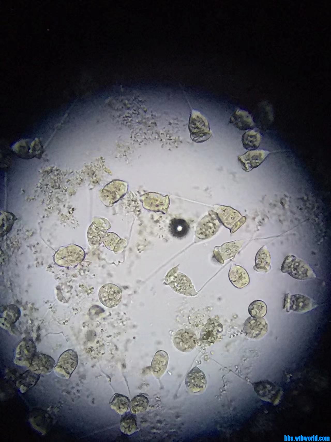 wechat_upload16476955936235d6e9ef839