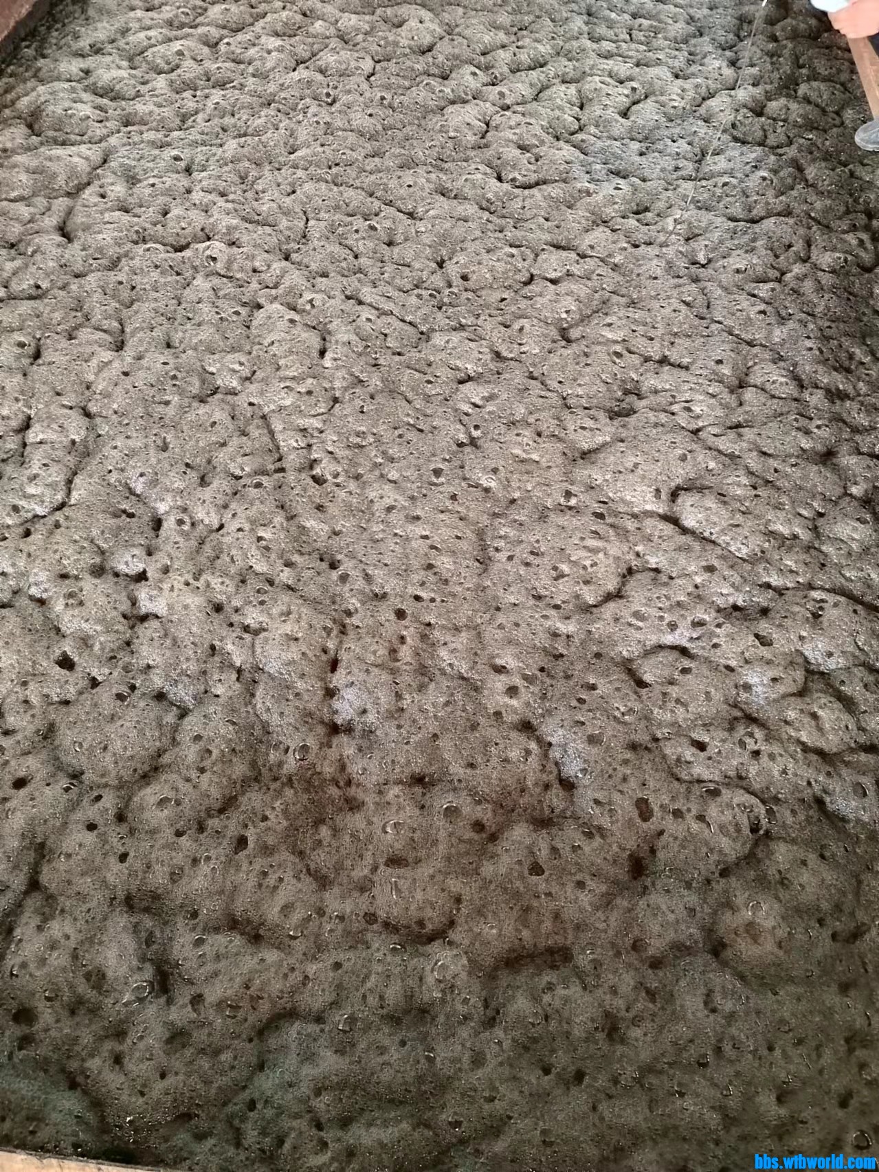 wechat_upload16477436006236927024937