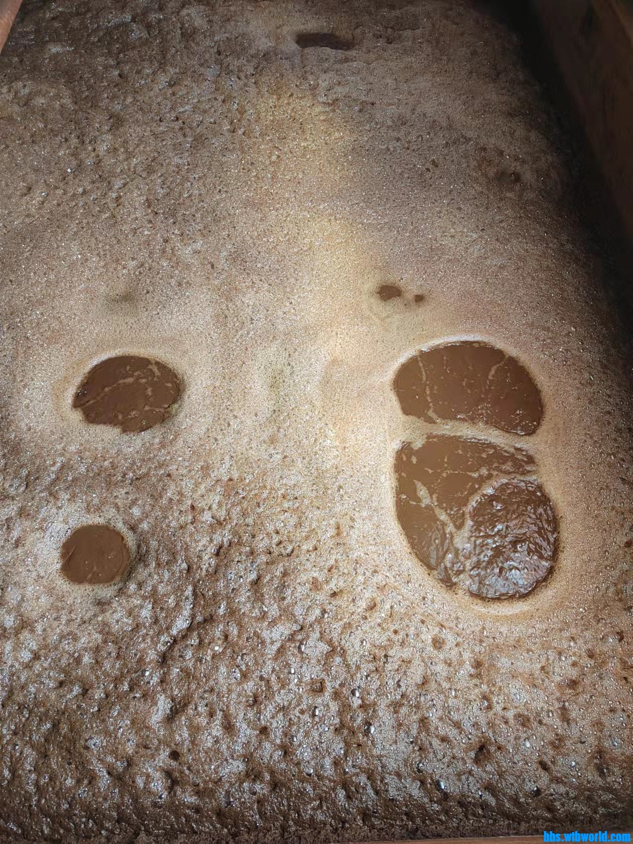 wechat_upload164774360062369270b8cc2