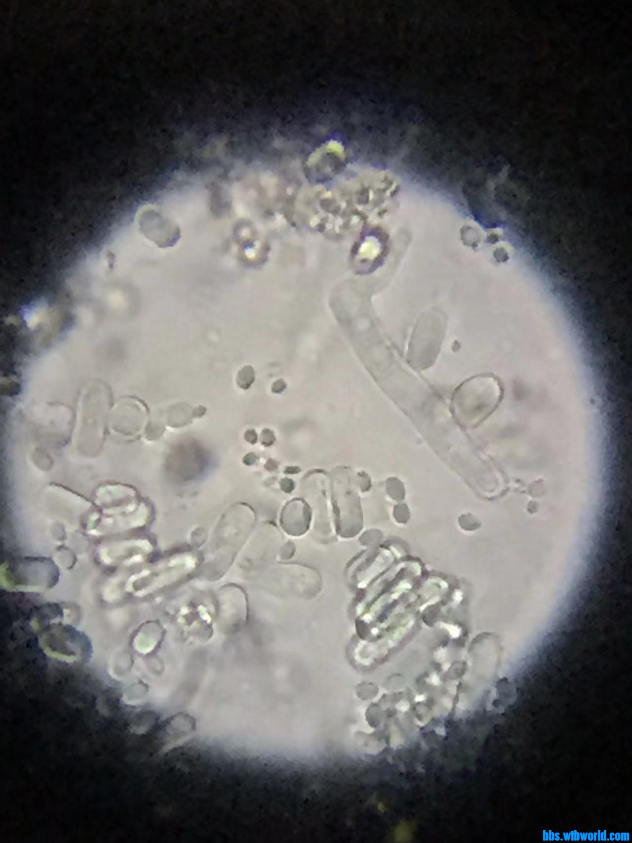 wechat_upload16477653656236e775e9218