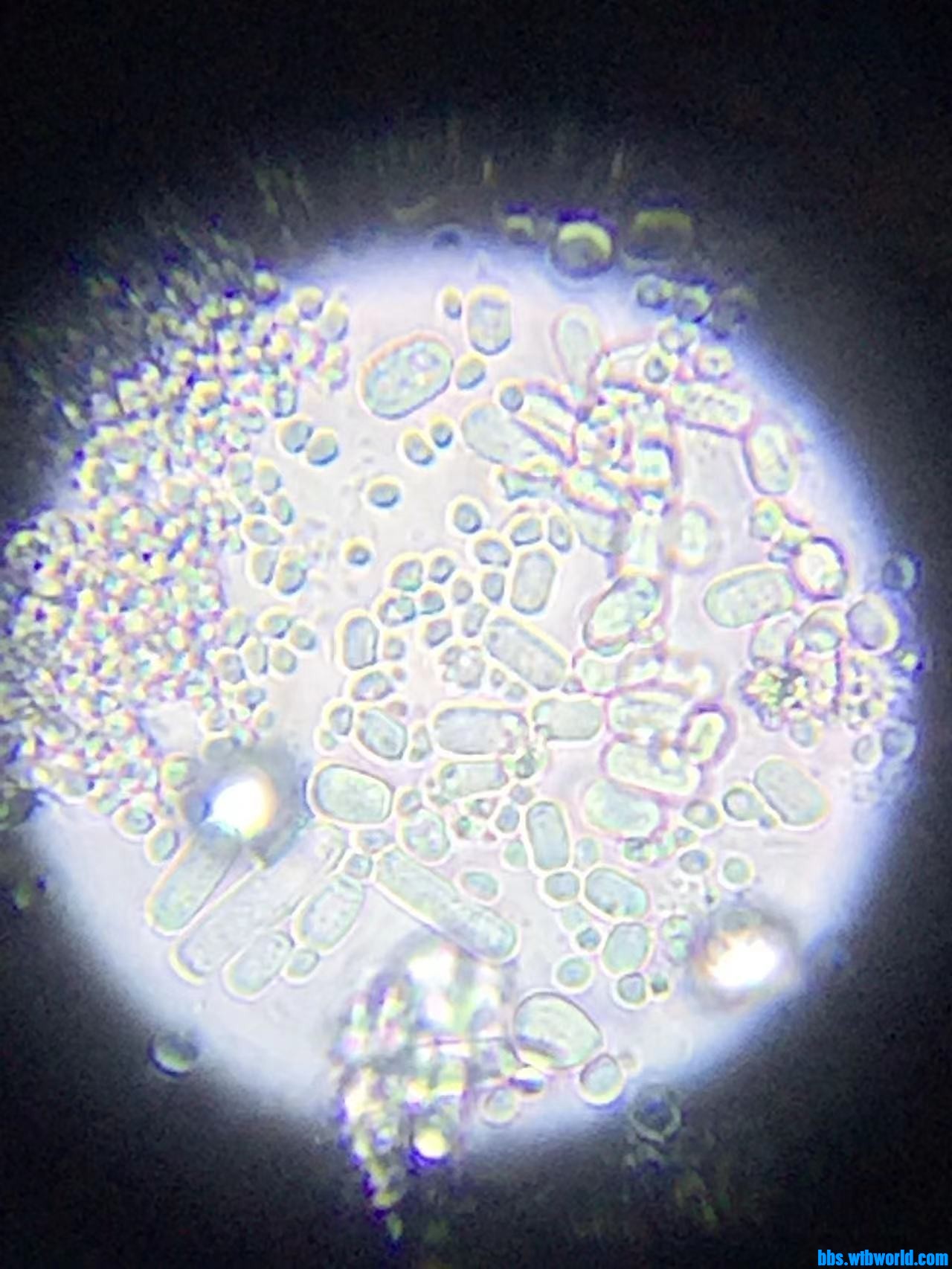 wechat_upload16477653666236e776a0156