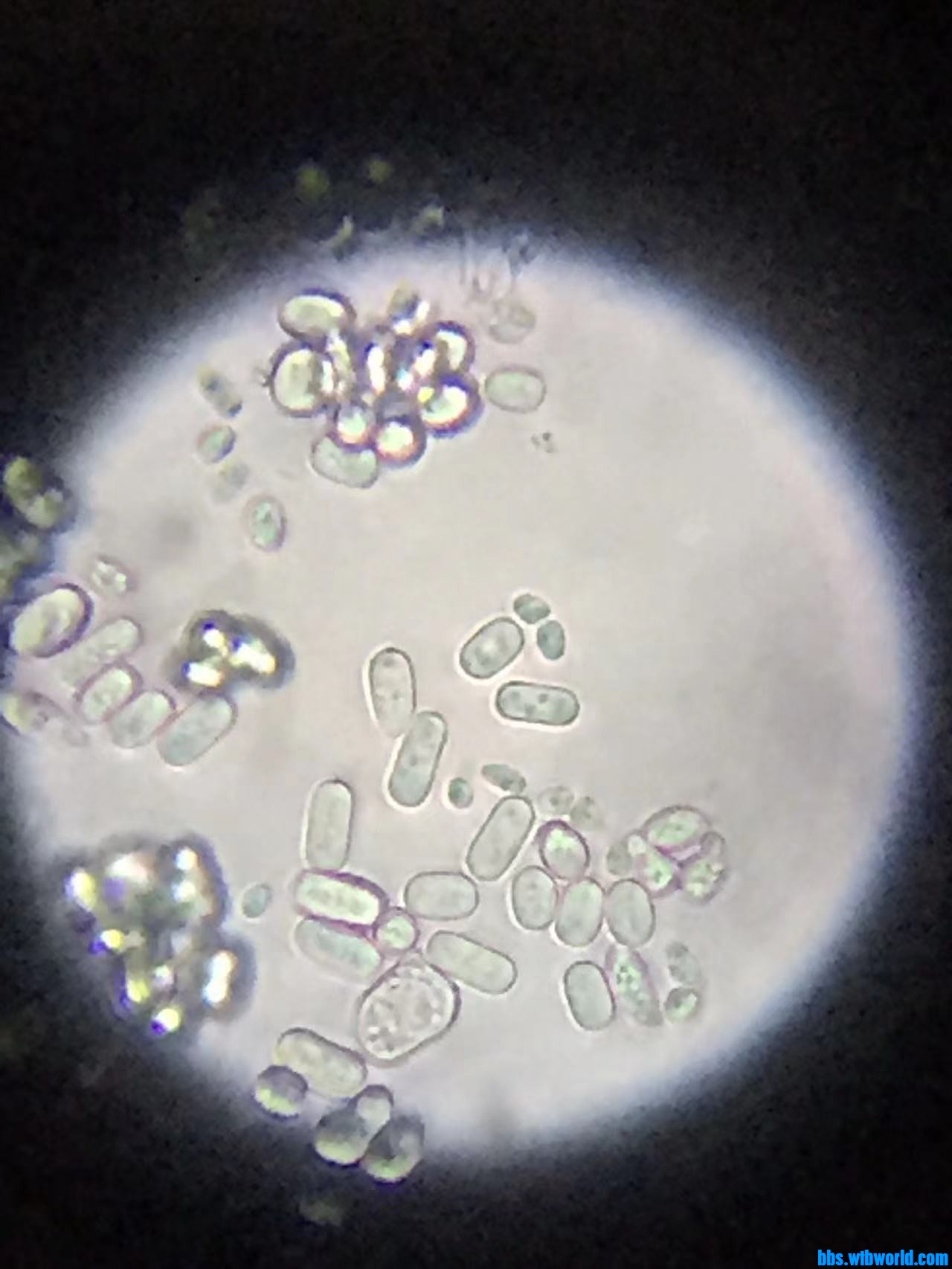 wechat_upload16477653666236e77648ecc