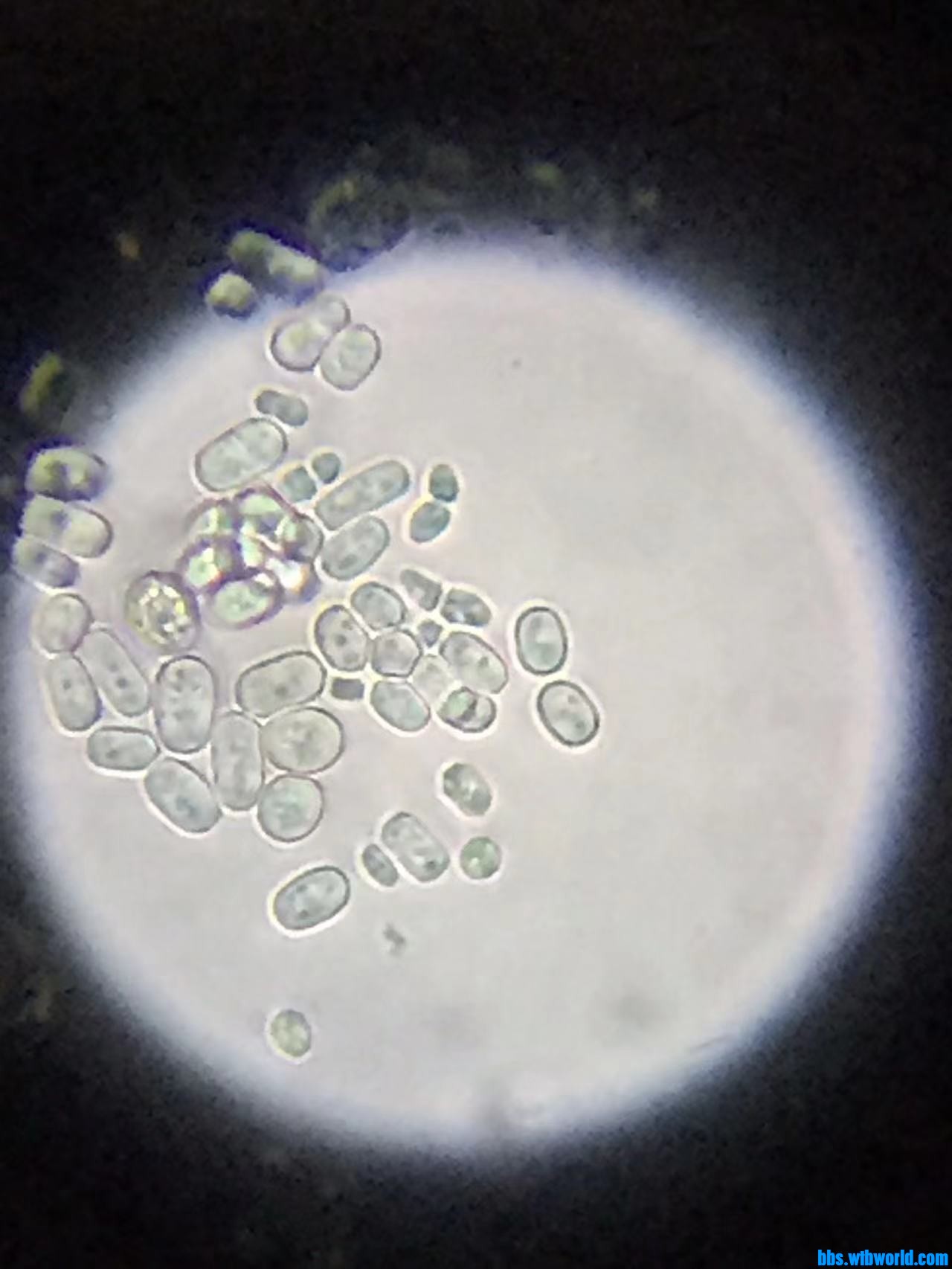 wechat_upload16477653676236e7770d330