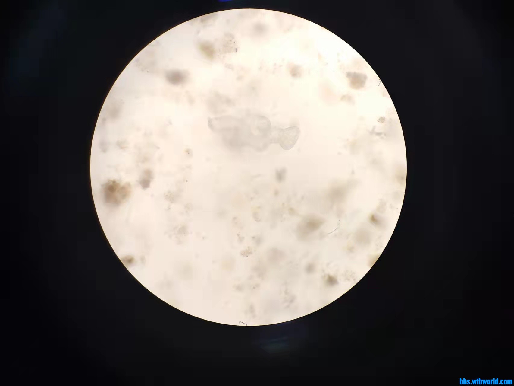 wechat_upload16478331966237f06cd6e3c