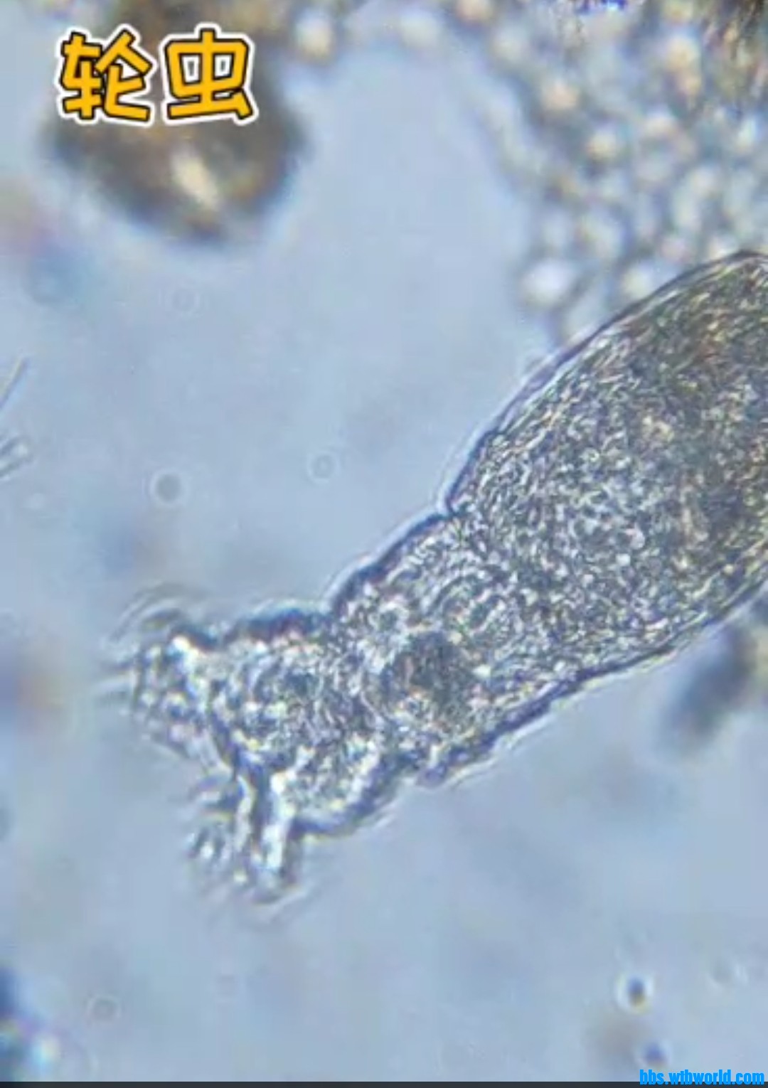 wechat_upload16478336986237f26212852