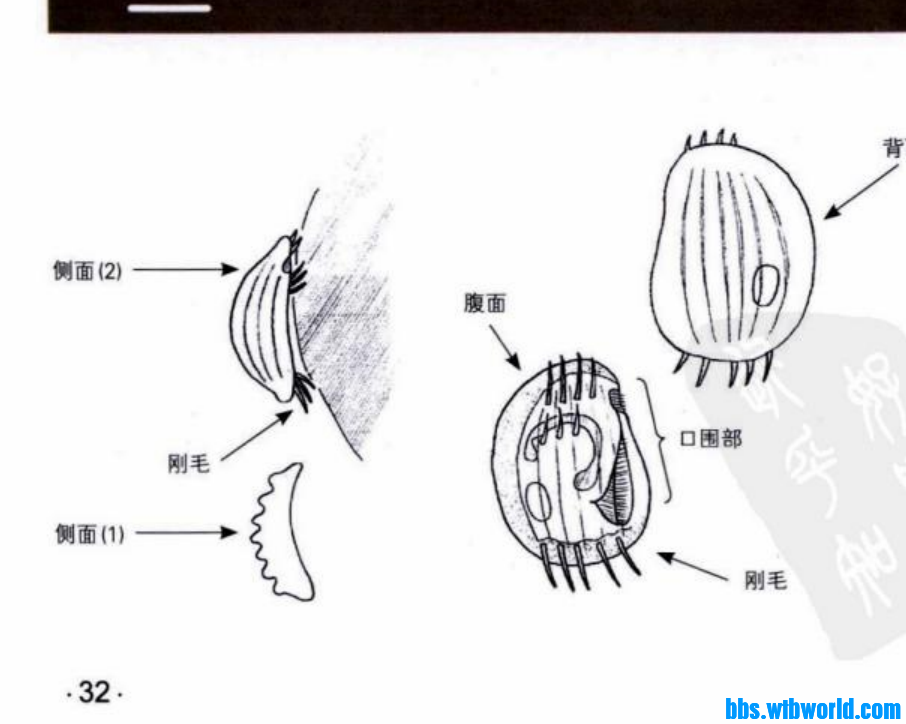 wechat_upload164784943562382fdb8e386