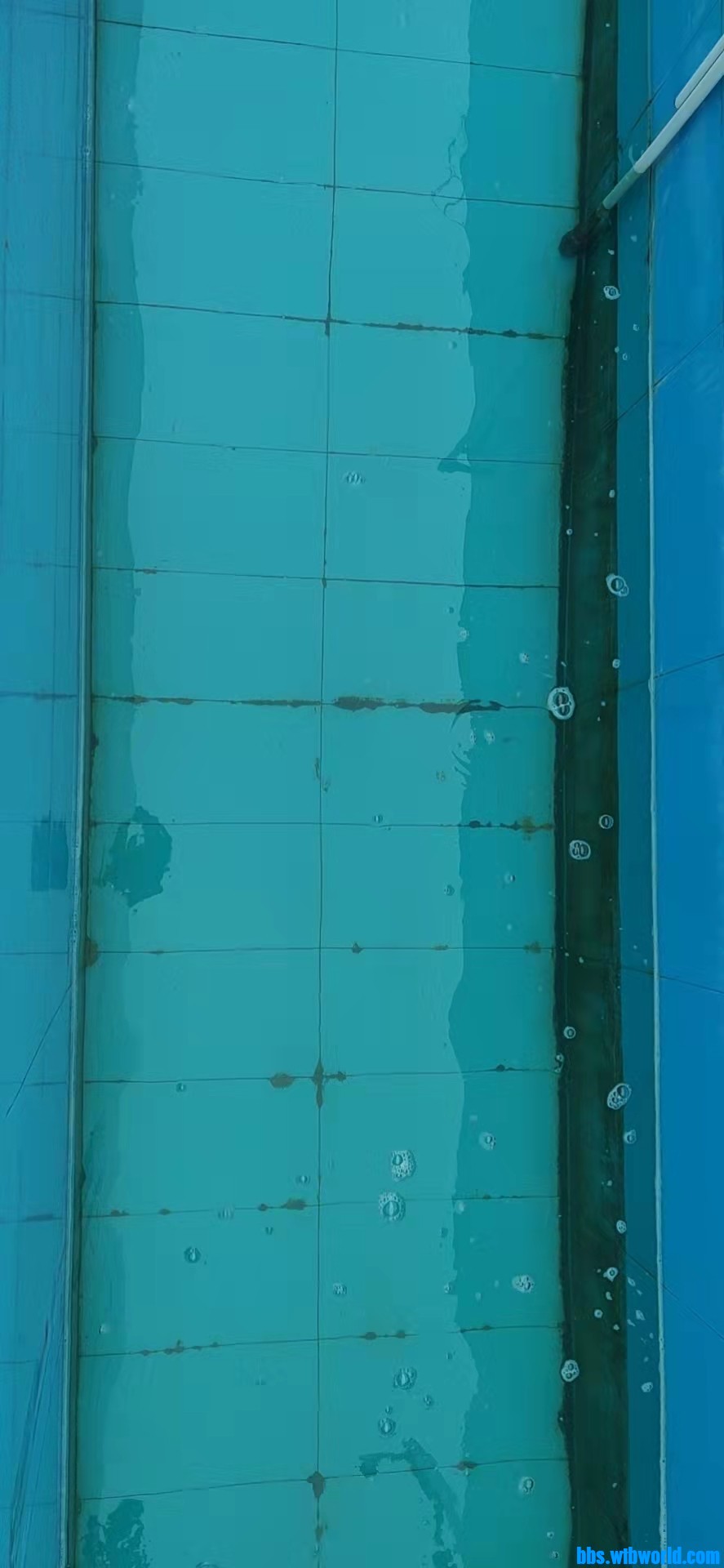 wechat_upload16478617606238600087126