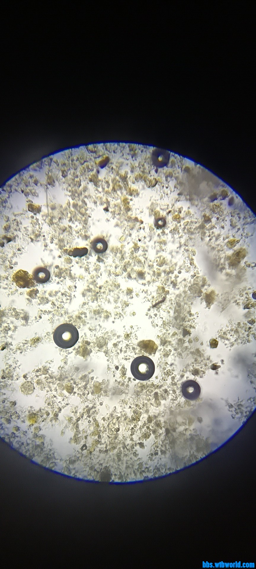 wechat_upload16479281856239637998d92