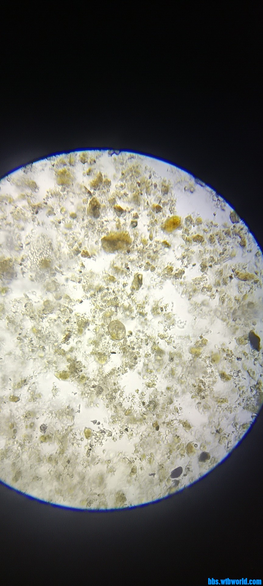 wechat_upload1647928317623963fdce68e