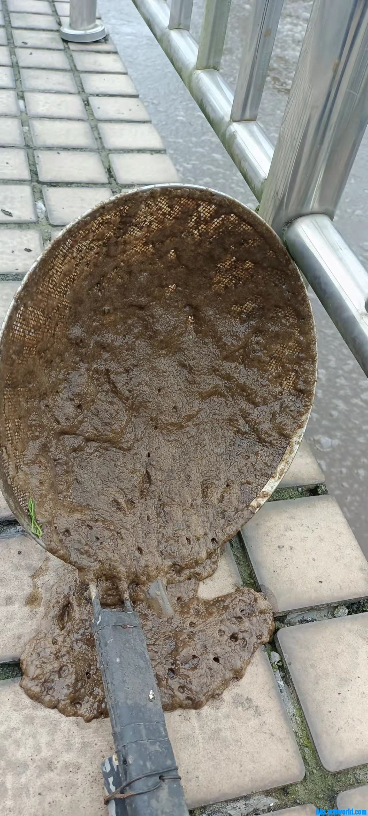 wechat_upload1648003586623a8a022b4db