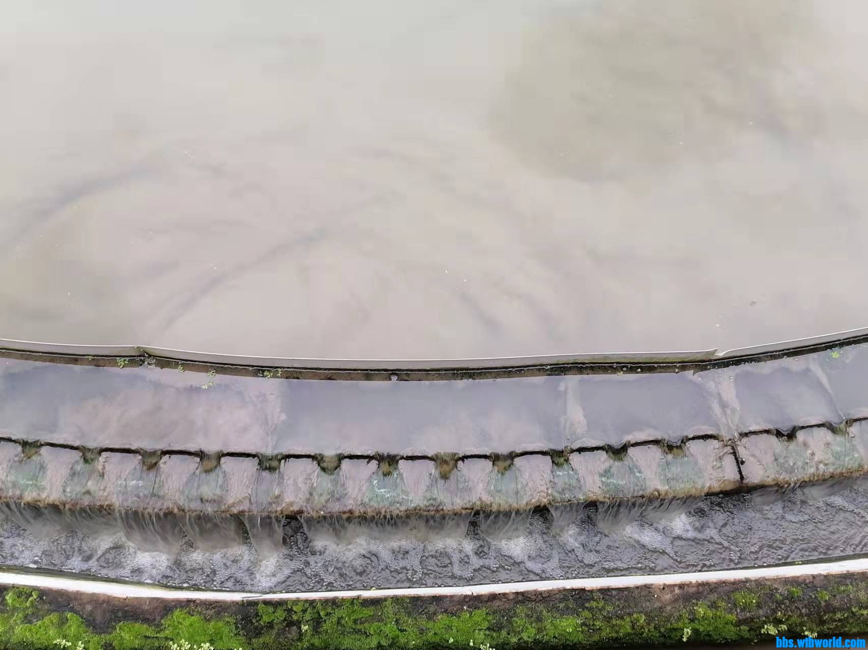 wechat_upload1648003931623a8b5baf163