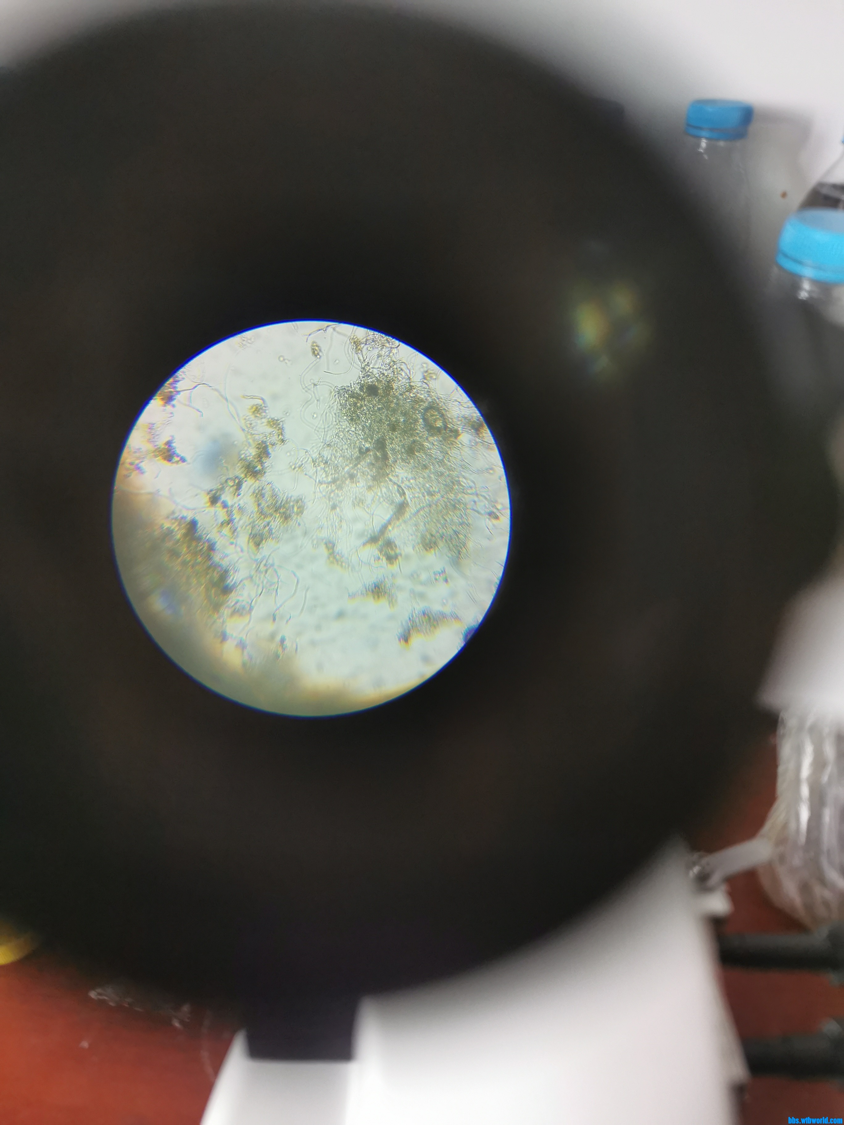 wechat_upload1648012389623aac650ec29