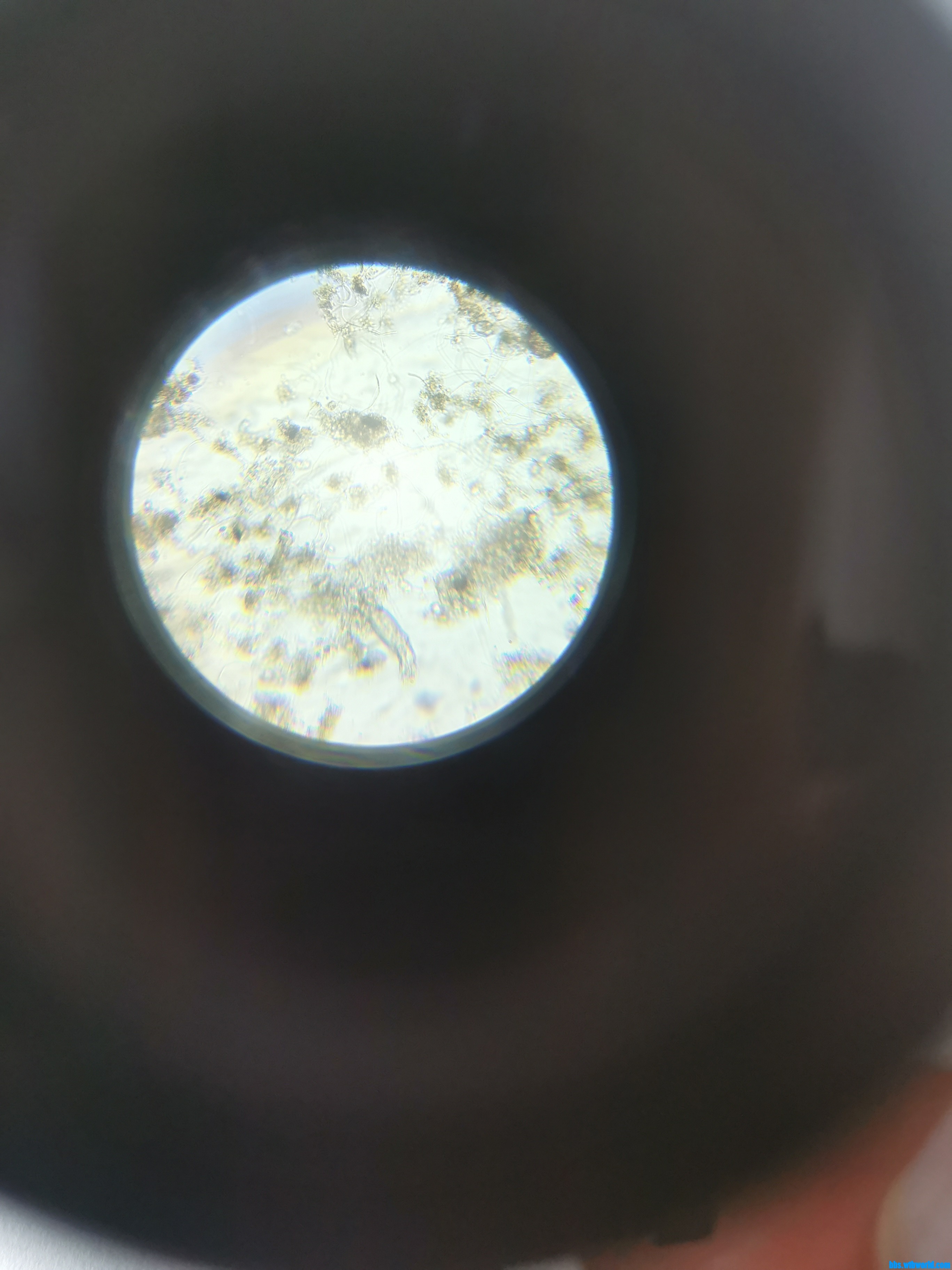 wechat_upload1648012391623aac67169f9