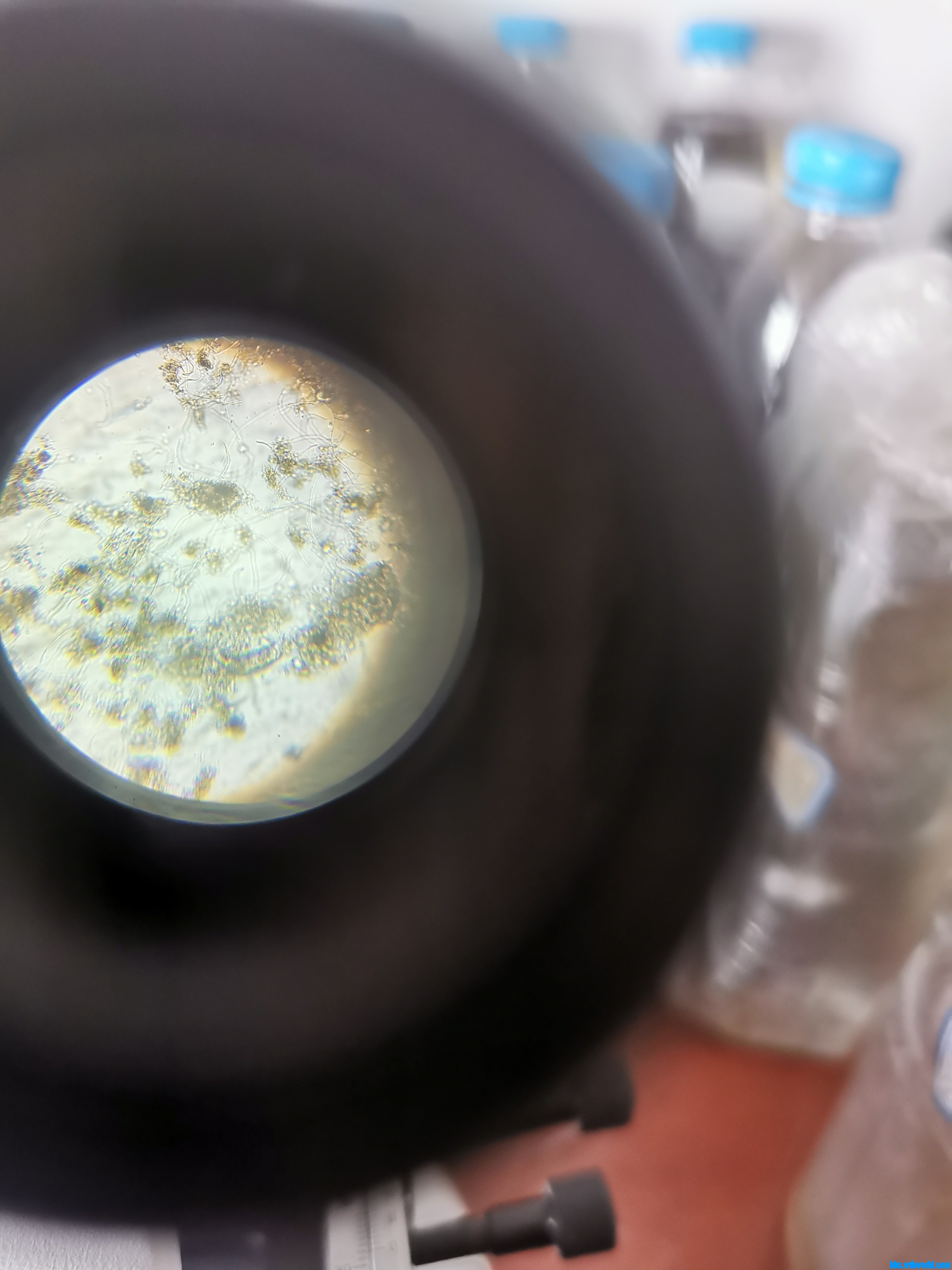 wechat_upload1648012392623aac683c374