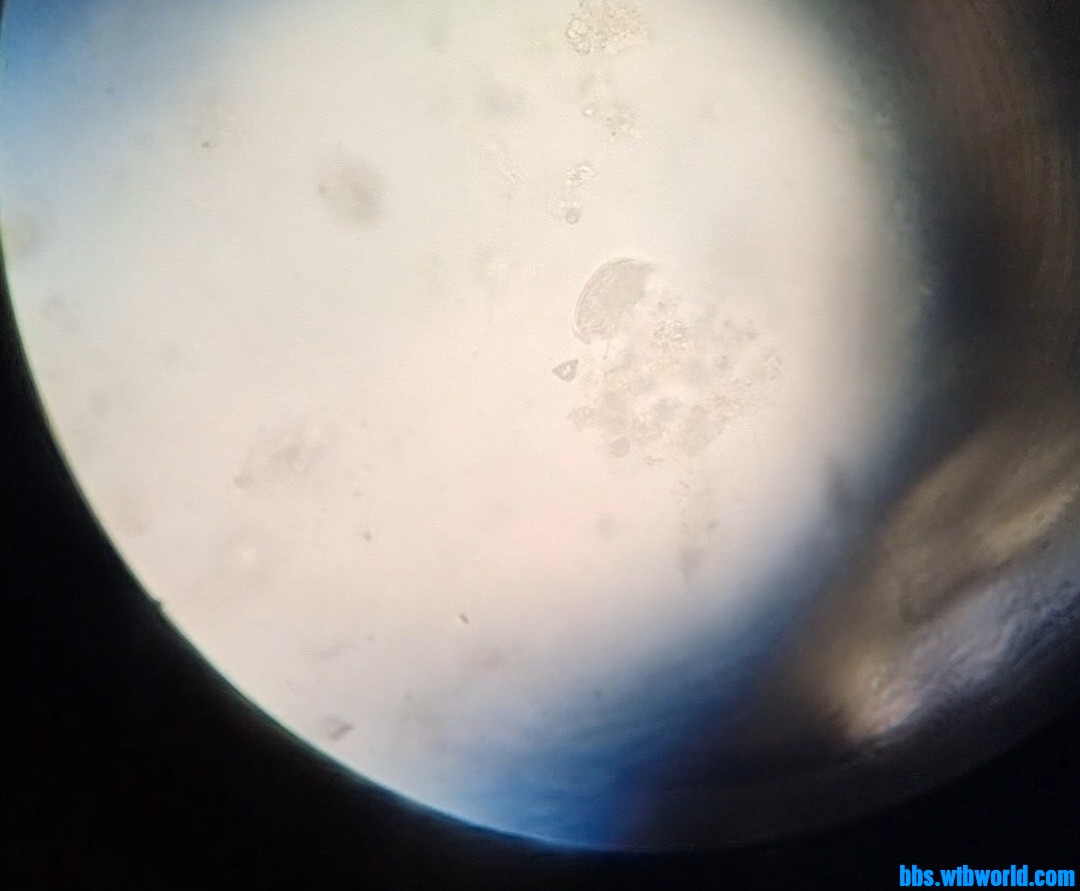 wechat_upload1648039143623b14e77c9d9