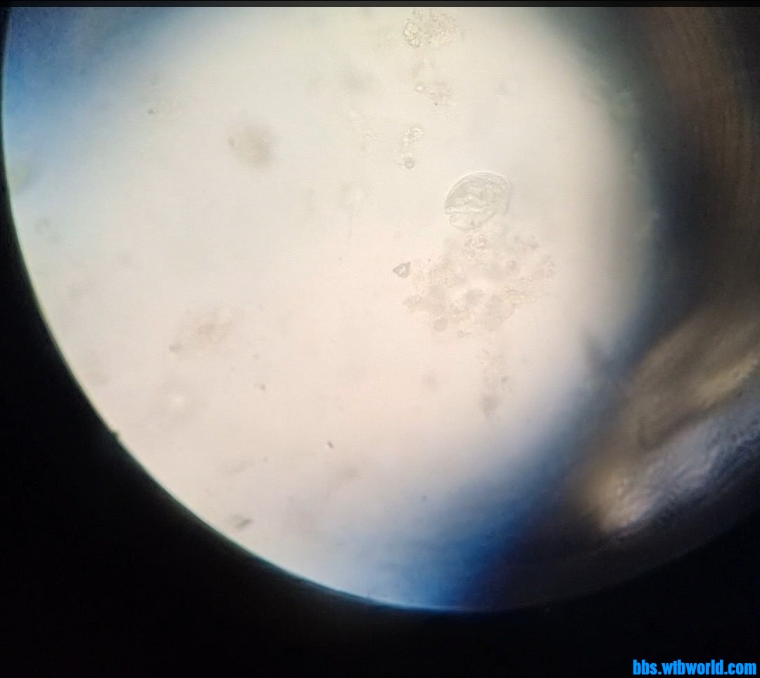 wechat_upload1648039143623b14e7c95f6