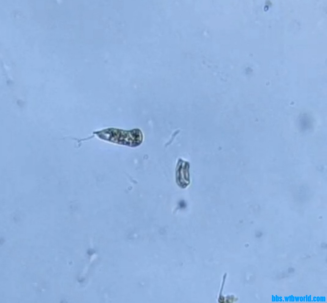 wechat_upload1648082490623bbe3a9078a