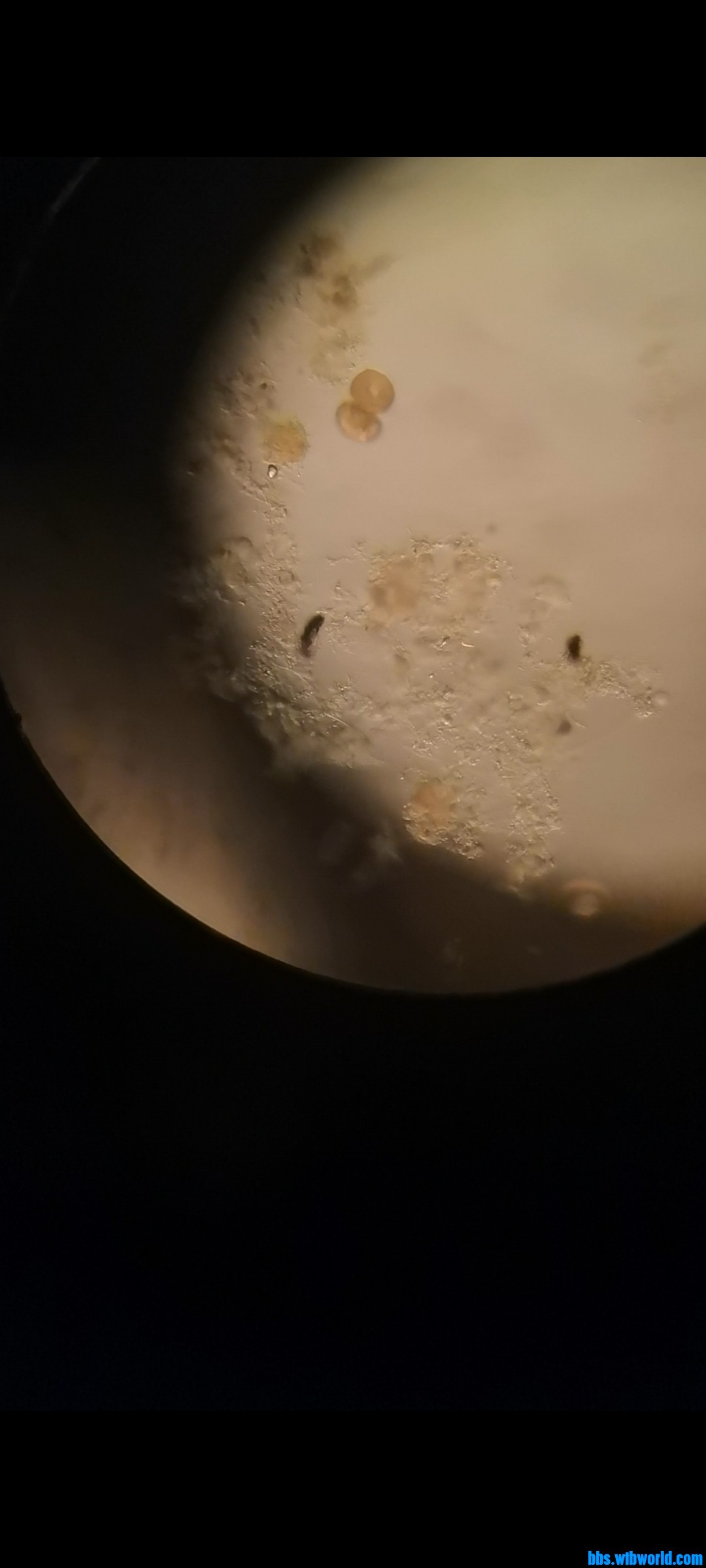 wechat_upload1648169286623d114662c28