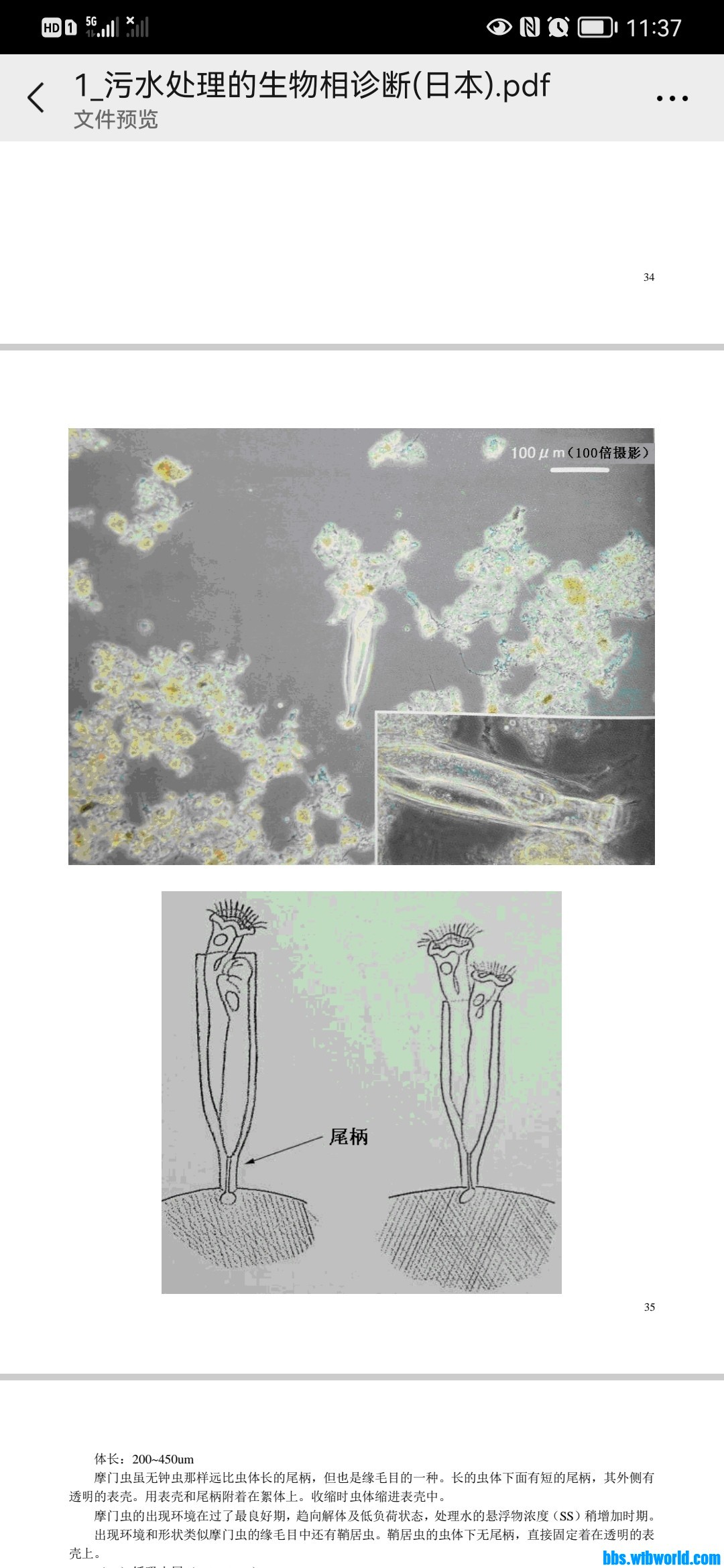 wechat_upload1648179522623d39427ec25