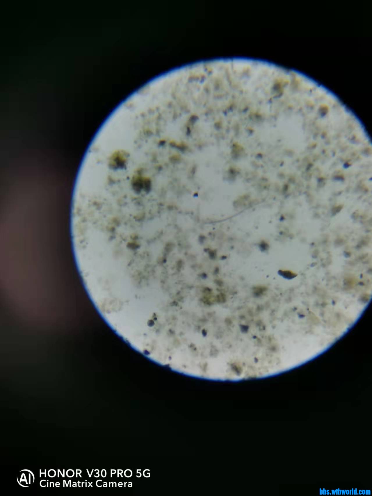 wechat_upload1648264925623e86ddb8de8