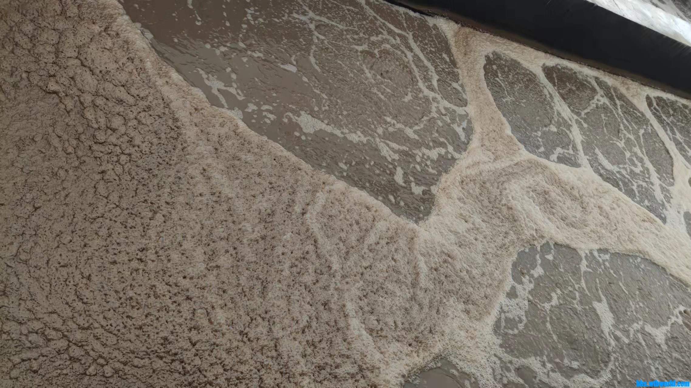 wechat_upload1648458201624179d98e1a3