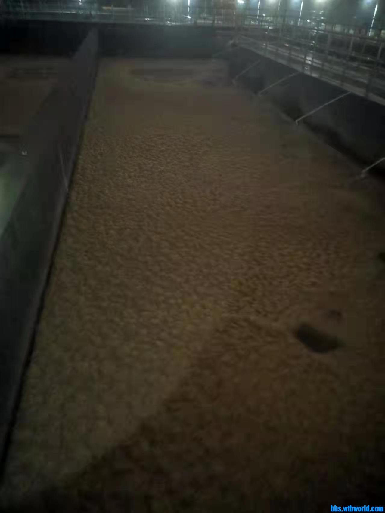 wechat_upload16486077686243c21800112