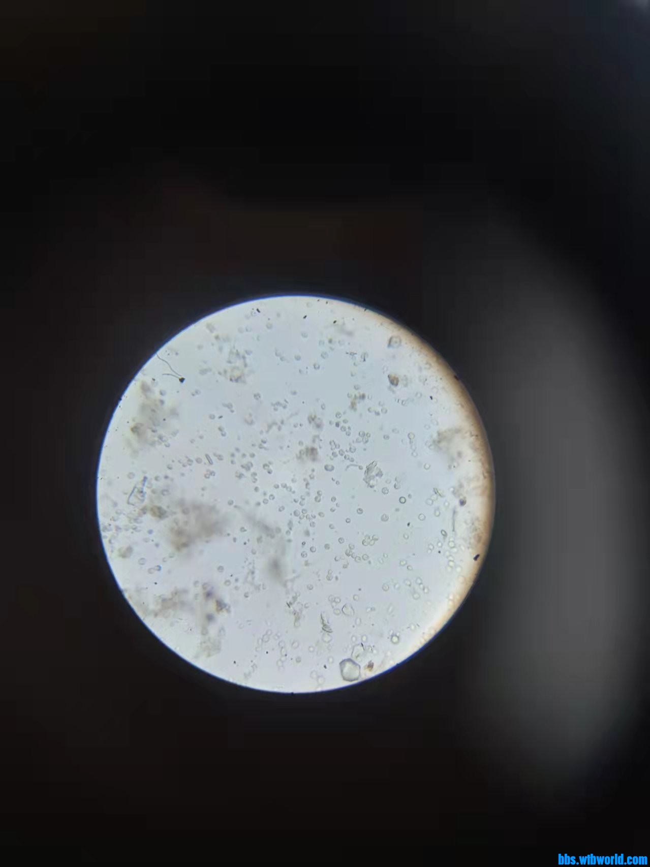 wechat_upload1649053060624a8d8463e4f