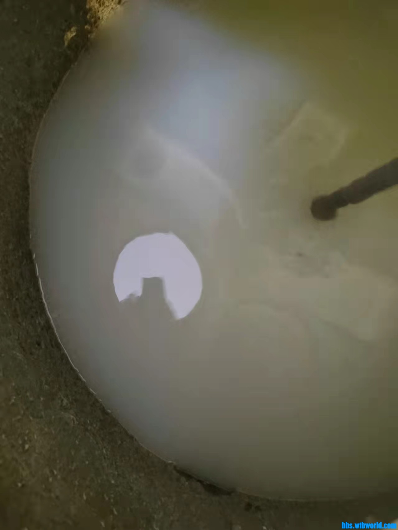 wechat_upload1649115065624b7fb9edb32