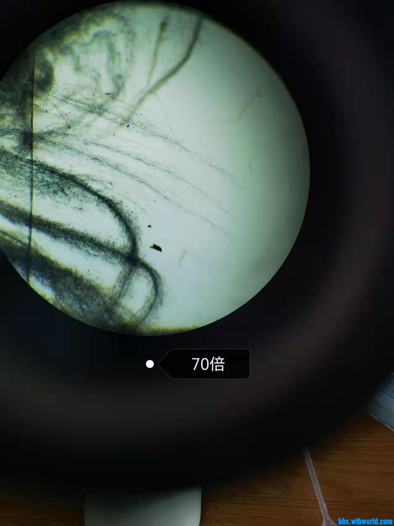 wechat_upload1649117045624b87758ad66